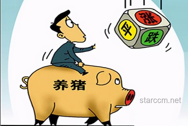 你可能不认识我，但一定看过我的动画：动漫行业未来趋势深度剖析