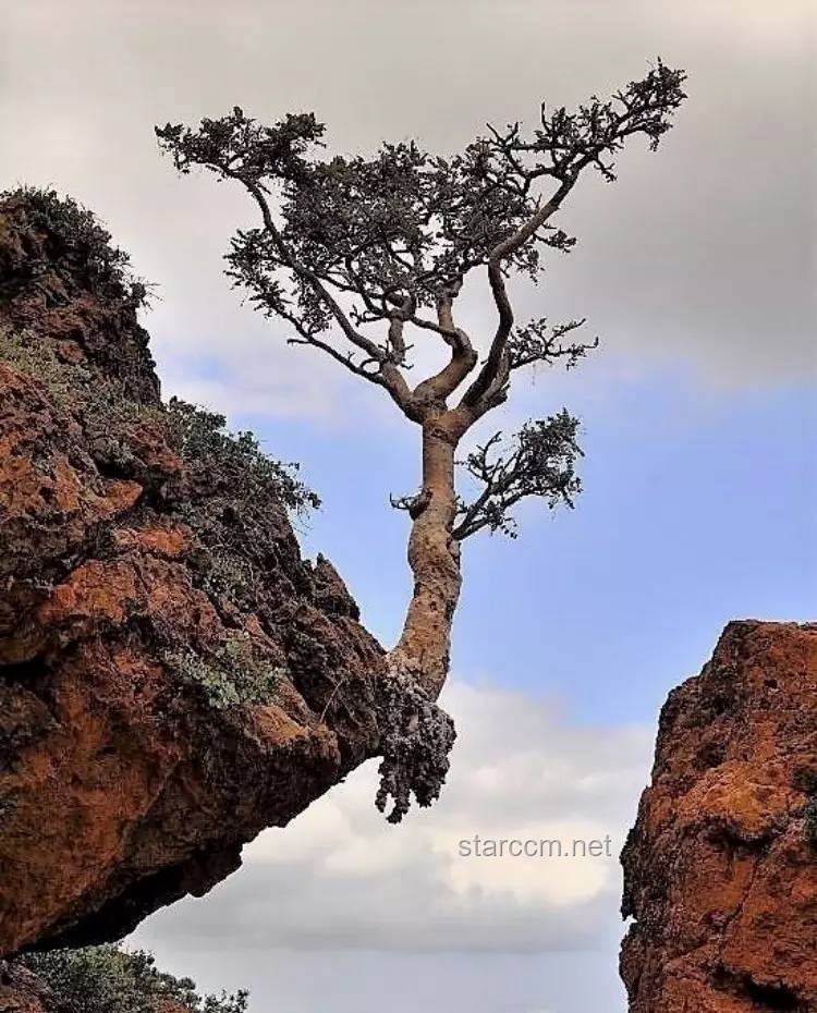 🚀“攀登心峰：爬一次峨眉山，解锁人生新难度级别”