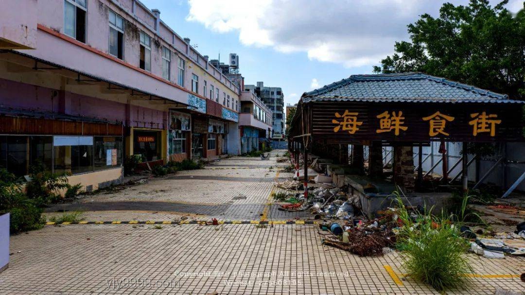 让我看看谁还没有史迪咪：史迪奇IP的崛起与未来趋势