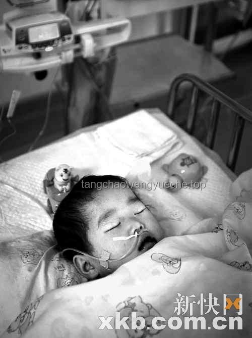 女童被虐致死案：了解生父“求死”后上诉全程指南